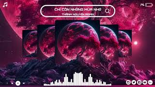 Cover art for Chỉ còn những mùa nhớ