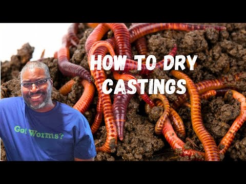 How To Dry Out Wet Worm Castings