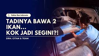 Download lagu SURABAYA PART 2: REALLY BECOMING A FISH AMBULANCE mp3