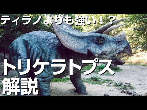 トリケラトプス