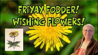 FriYAY FODDER: Wishing Flowers! Soggy Bottom Critter Cam: Will it be a POSSUM?