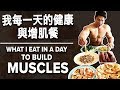 我每一天的健康與增肌餐 (Eng Sub) | What I Eat In a Day to Build Muscle | Terrence Teo