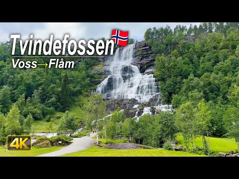 Voss to Flåm Scenic Drive | Tvindefossen Waterfall & Nærøydalen Valley | Norway 🇳🇴