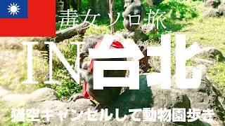 ［2026年2月台北］台北ZOOを朝から一人歩きしたら想像の5倍広かったって話