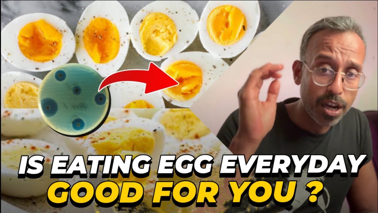 How many eggs can you eat in day ? Explains Dr Santhosh Jacob .