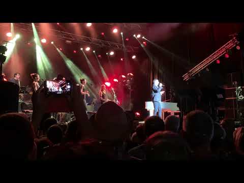 Julien Clerc @ Estivale Open Air 2019 (Extraits)