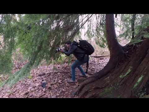 srikar Ujjwal photography