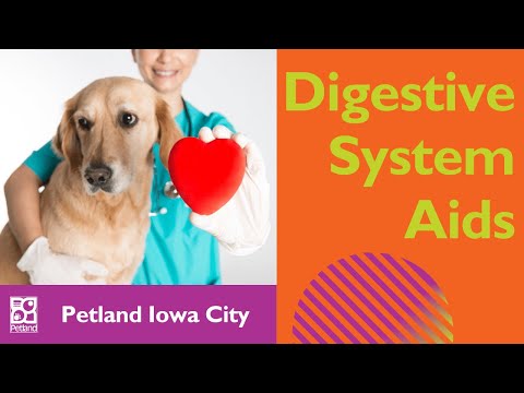 Dog Digestion System Aids
