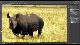 Photoshop CS6 Content Aware Patch Tool