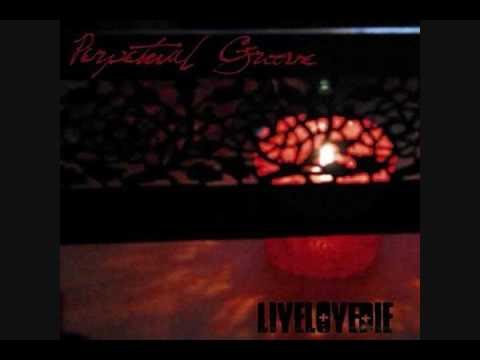 Perpetual Groove - It starts where it ends