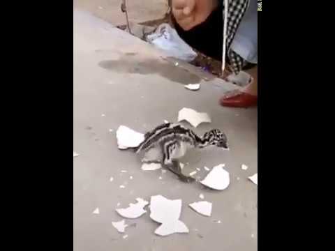 Бах! Твоя жизнь начинается здесь и сейчас!