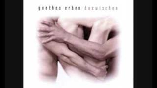 Goethes Erben - schattendenken