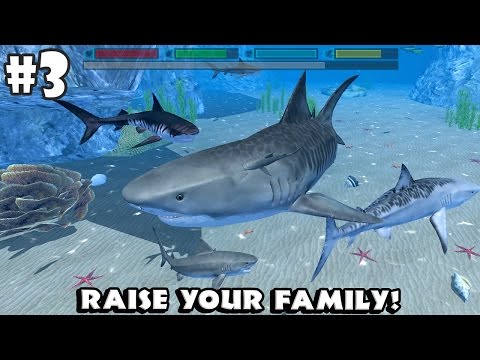 Ultimate Shark Simulator -Family Tiger Shark- Android/iOS - Gameplay Part 3 - YouTube