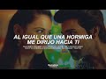 Kung Fu Kumari Bruce Lee The Fighter Ram Charan Rakul Preet Sub Español Telugu