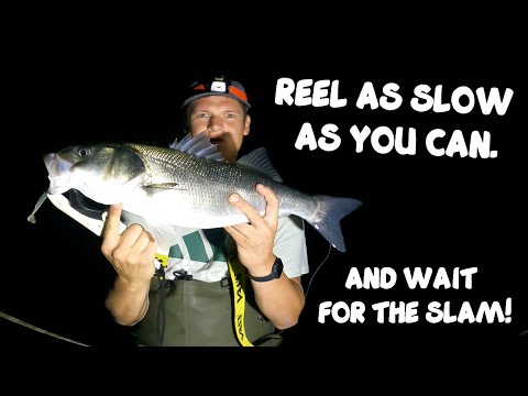 BASS SLAM AT NIGHT - LURE FISHING FOR BASS AT NIGHT - SLOW AND STEADY WINS THE RACE - HOW TO!