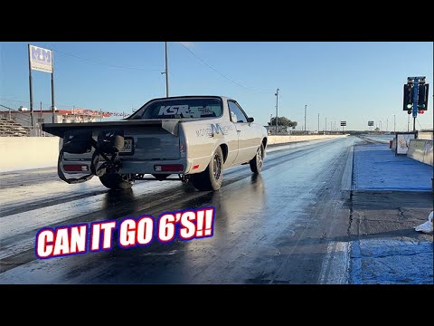 Sick Week Testing with Mullet and Dr.Pepper Mustang