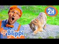 Blippi Visits A Zoo Point Defiance Zoo Blippi Kids Playground Educational Videos For Kids