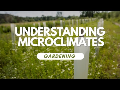 Understanding Microclimates In Your Garden