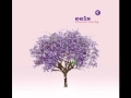 Eels - oh so lovely