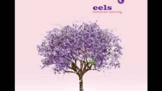 Eels - oh so lovely
