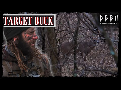 Close Calls | Three Encounters inside of 30