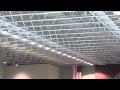 Bats Like To Watch Swimming Meet Bats Flying In Natatorium Swimming Pool Contamination By Drops