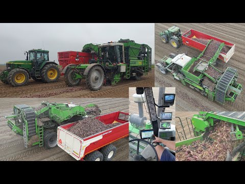 Onion Harvest - AVR Mistral and John Deere 7710 - Zwiebeln laden - Uien Race 2023 😎