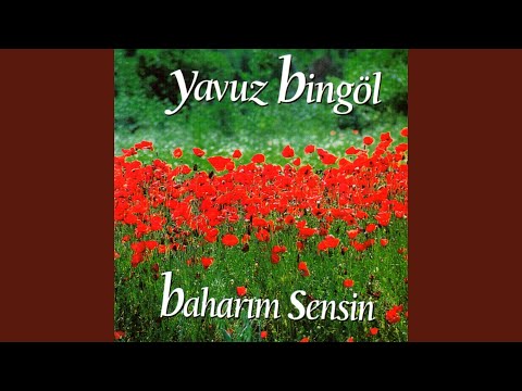 Video Yükleniyor...