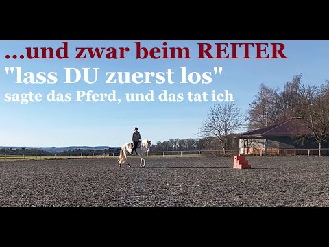Losgelassenheit beim Pferd beginnt im KOPF