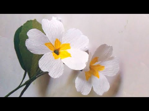 how to make Prime Rose with crepe paper/ for beginners