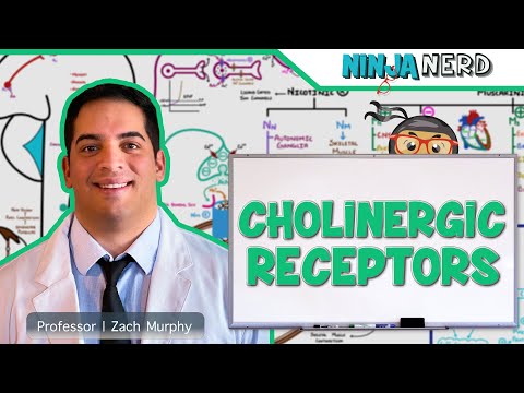 Neurology | Cholinergic Receptors