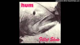 Hum - &quot;Pocket&quot;