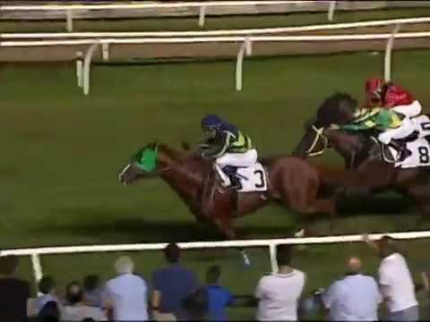 Galoppo 19/07/2014 - Corsa 3