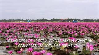 LE LAC DES LOTUS A NONG KHAI....