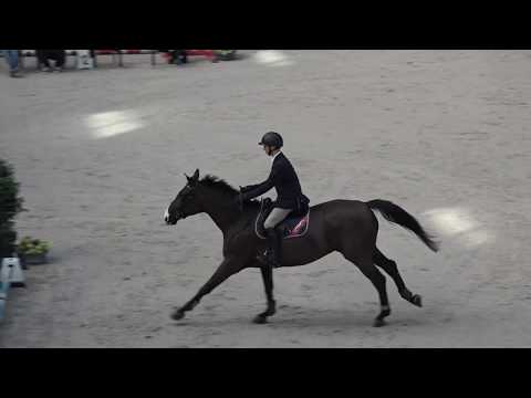 Šamorín - 7.2.2020 - comp. 03 - Winter Masters Series