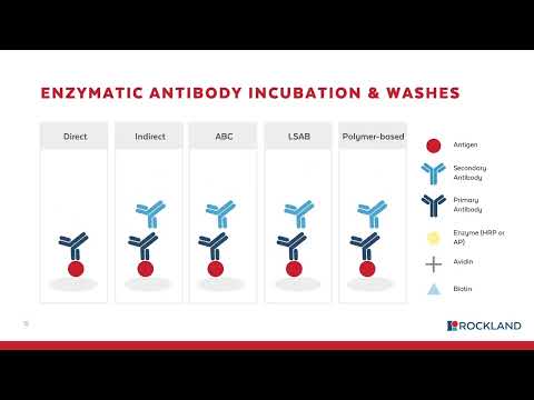 Immunohistochemistry (IHC) workflow [WEBINAR]