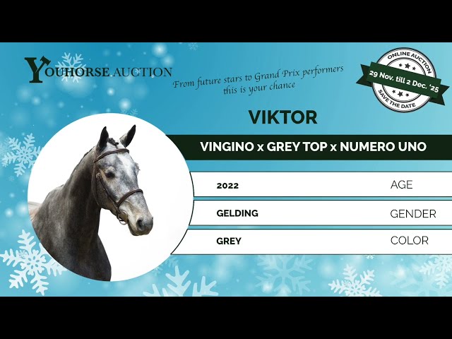 Viktor impressionvideo