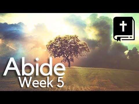 Abide Week 5 Sermon Only 8-13-23
