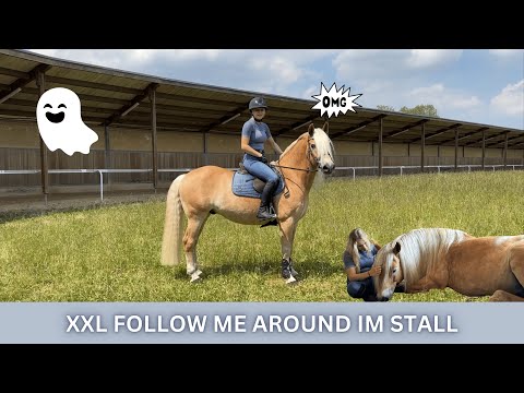 XXL STABLE VLOG I Everyday madness and ghosts at the racetrack I Anja Fee