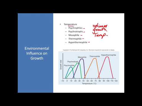 Micro Lecture Chapter 4 Part 2