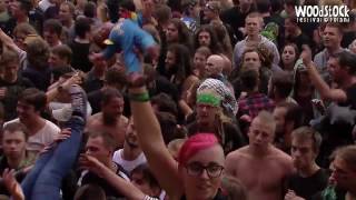 The Rumjacks - My Time Again (Live at Woodstock Festival Poland 2016)