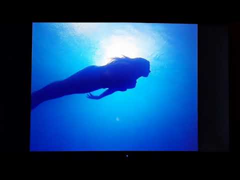 The Thirteenth year Ending