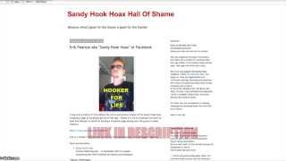 Sandy Hook Blog Outing Truthers