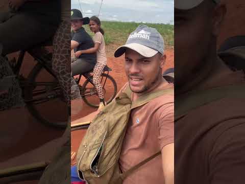 Minas Gerais: Tucunaré amarelo: pescaria de hoje surpreende nos rios.