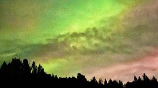 🇳🇴 Rombakfjorden - Aurora Borealis: The Northern Lights