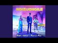 Boohle, Villosoul & Bravo Le Roux - Ndizijongile (Official Audio)