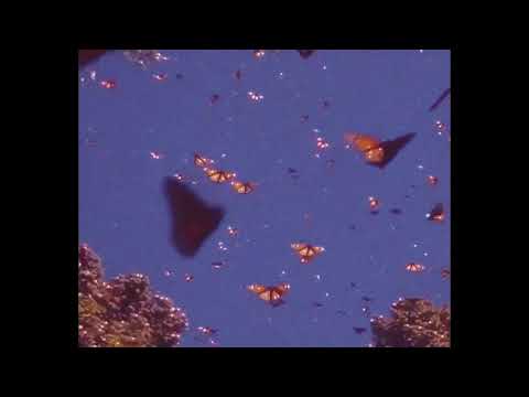 [FREE FOR PROFIT] GONE.FLUDD + CAKEBOY + MAY WAVE$ + IROH - "INCIDENT" | TRAP BEAT