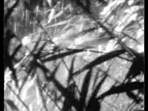 Inner Silence, by Stormfield (Combat A.V.)