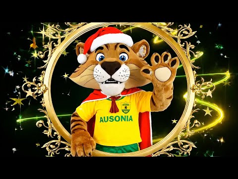 Festa di Natale Ausonia 2025