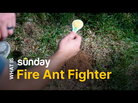 YouTube video placeholder